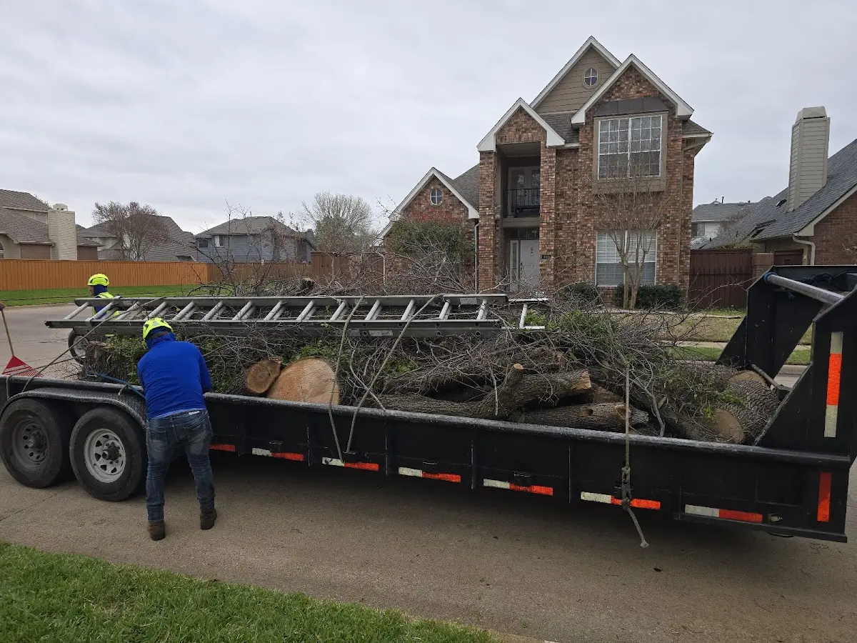 Expert Tree Removal with proper safety equipment in Shuqualak